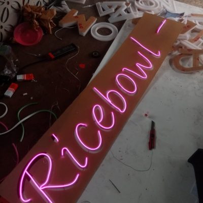 NEON FLEX (1)